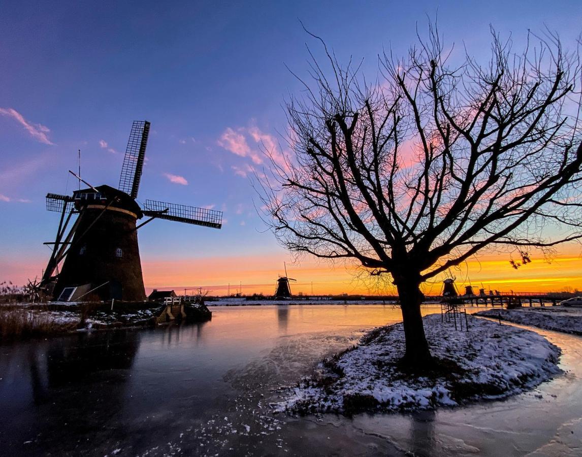 Guesthouse Rotterdam, Tinyhouse Nearby Kralingen Экстерьер фото